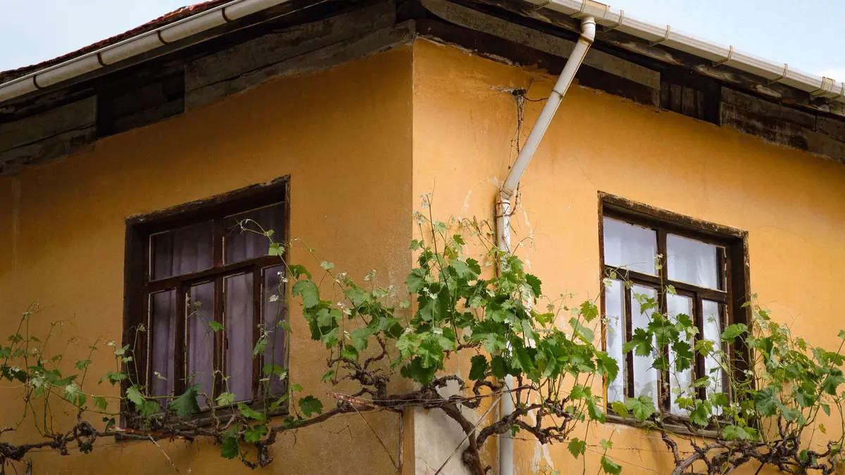 Yellow stucco house with a white downspout and gutter along the roof edge