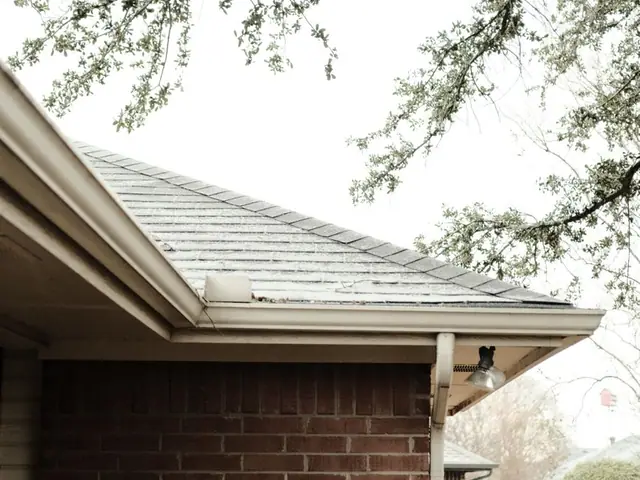 White gutter and downspout along the shingle roof edge of a brick house